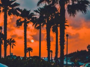 women’s mental health treatment Clearwater